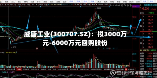 威唐工业(300707.SZ):拟3000万元-6000万元回购股份-第1张图片