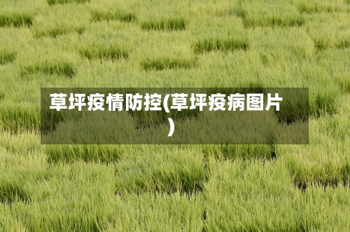 草坪疫情防控(草坪疫病图片)-第1张图片