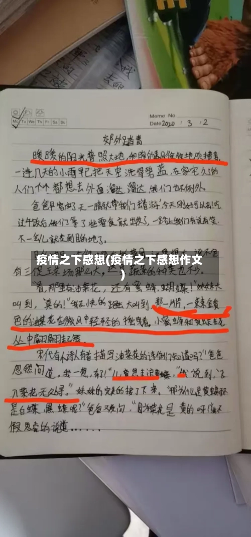 疫情之下感想(疫情之下感想作文)-第2张图片