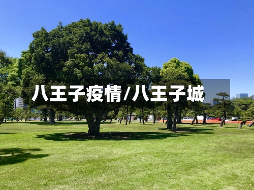 八王子疫情/八王子城-第1张图片