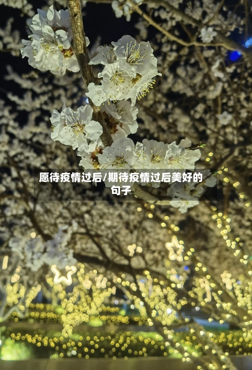 愿待疫情过后/期待疫情过后美好的句子-第2张图片