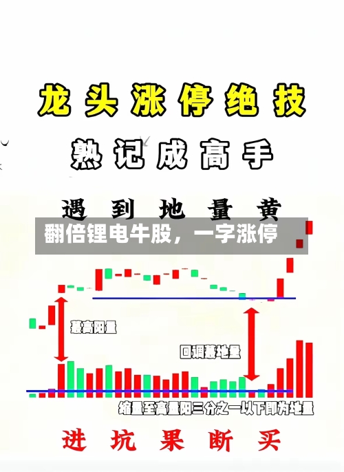 翻倍锂电牛股，一字涨停-第3张图片