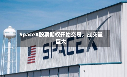 SpaceX股票期权开始交易	，成交量巨大-第2张图片