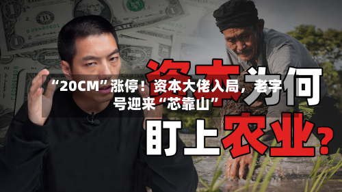“20CM”涨停！资本大佬入局，老字号迎来“芯靠山	”-第3张图片