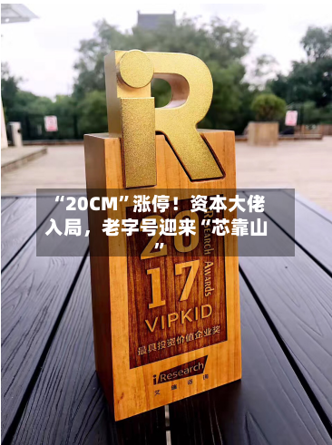“20CM	”涨停！资本大佬入局	，老字号迎来“芯靠山”-第2张图片