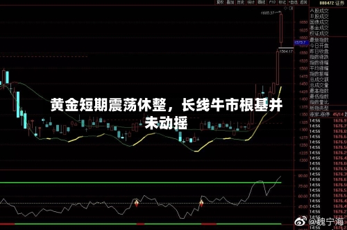 黄金短期震荡休整，长线牛市根基并未动摇-第3张图片