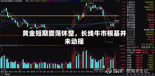 黄金短期震荡休整	，长线牛市根基并未动摇-第1张图片
