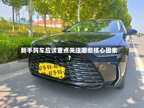 新手购车应该重点关注哪些核心因素？-第2张图片