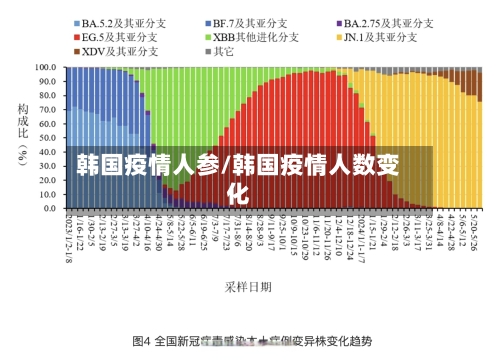 韩国疫情人参/韩国疫情人数变化-第1张图片