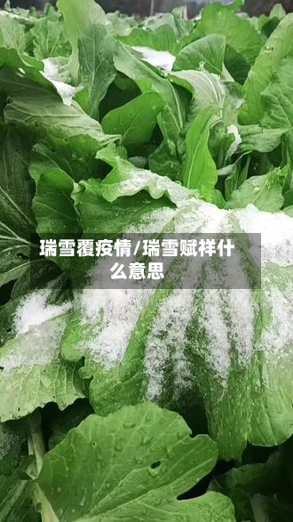 瑞雪覆疫情/瑞雪赋祥什么意思-第1张图片