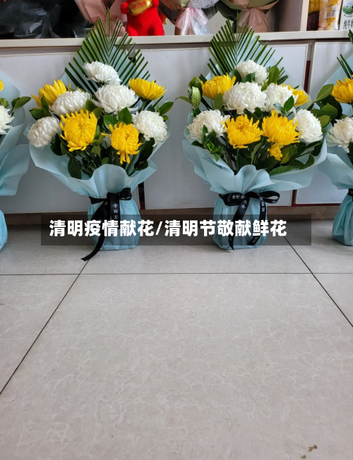 清明疫情献花/清明节敬献鲜花-第1张图片