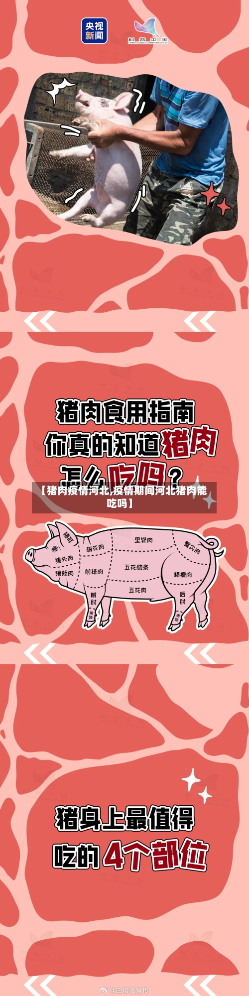 【猪肉疫情河北,疫情期间河北猪肉能吃吗】-第1张图片