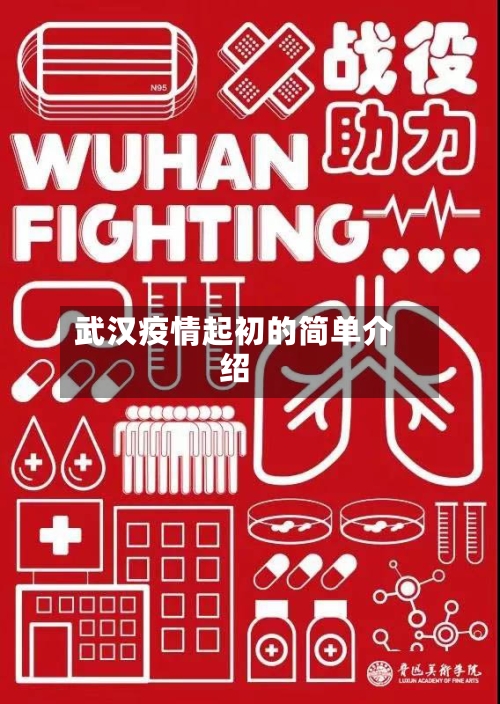 武汉疫情起初的简单介绍-第1张图片