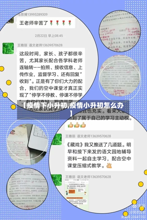 【疫情下小升初,疫情小升初怎么办】-第1张图片