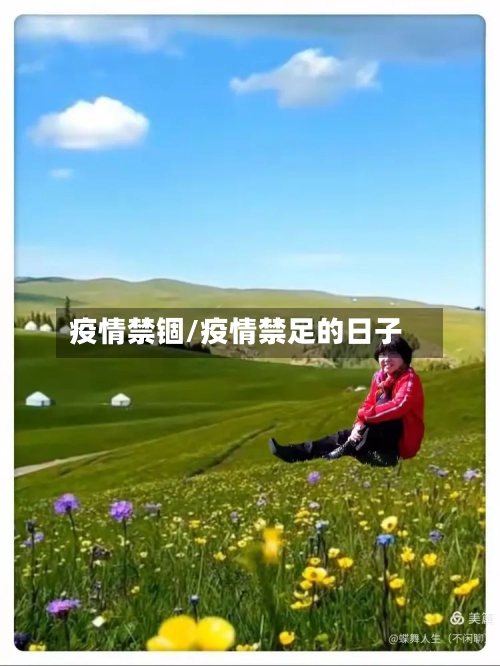 疫情禁锢/疫情禁足的日子-第2张图片