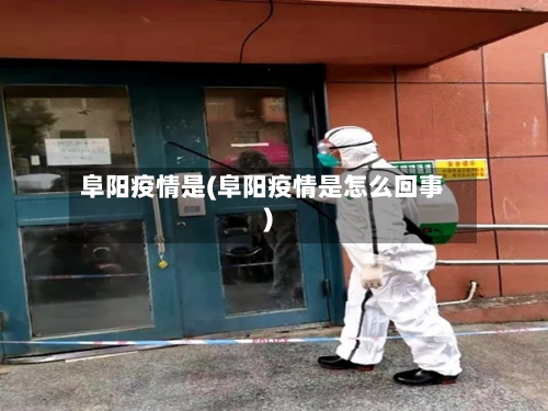 阜阳疫情是(阜阳疫情是怎么回事)