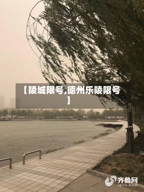 【陵城限号,德州乐陵限号】