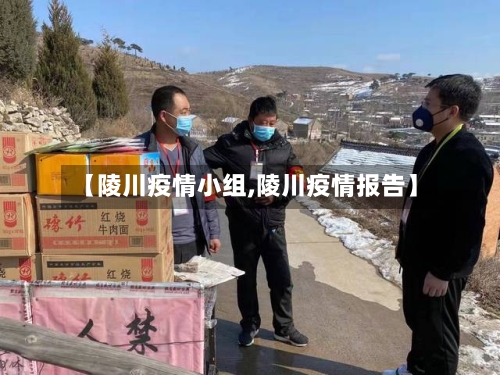 【陵川疫情小组,陵川疫情报告】