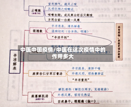 中医中国疫情/中医在这次疫情中的作用多大-第3张图片