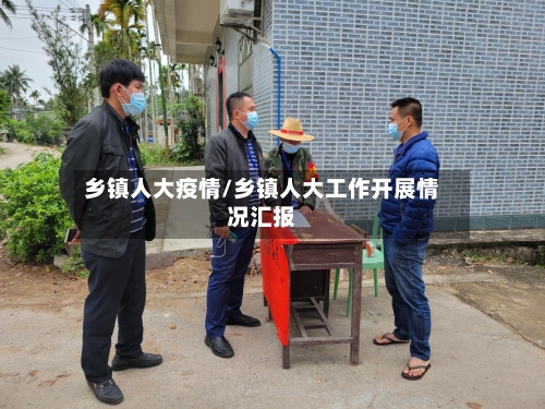 乡镇人大疫情/乡镇人大工作开展情况汇报