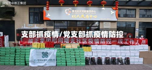 支部抓疫情/党支部抓疫情防控-第2张图片