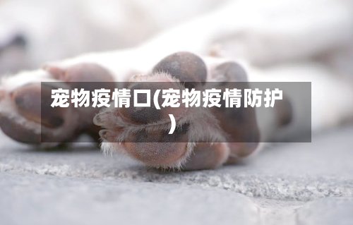 宠物疫情口(宠物疫情防护)-第2张图片