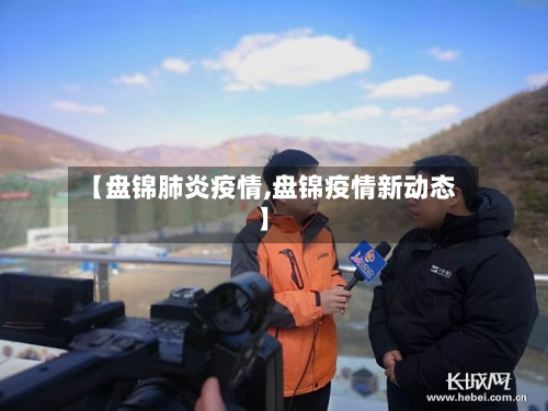 【盘锦肺炎疫情,盘锦疫情新动态】-第3张图片
