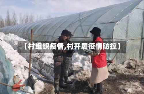 【村组织疫情,村开展疫情防控】