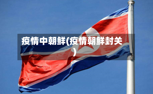 疫情中朝鲜(疫情朝鲜封关)