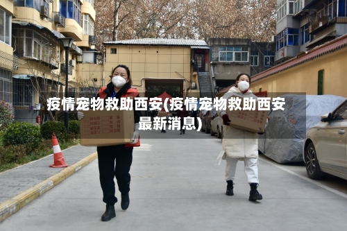 疫情宠物救助西安(疫情宠物救助西安最新消息)-第3张图片