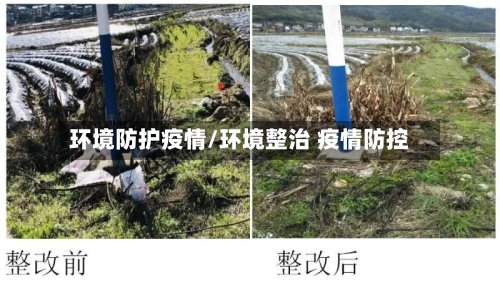 环境防护疫情/环境整治 疫情防控-第2张图片