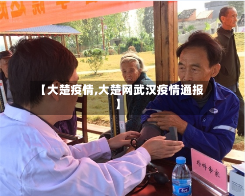 【大楚疫情,大楚网武汉疫情通报】-第2张图片
