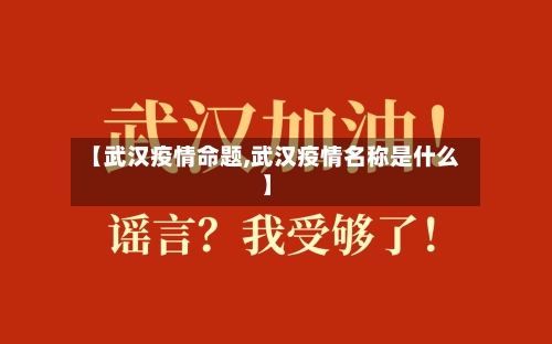【武汉疫情命题,武汉疫情名称是什么】-第2张图片