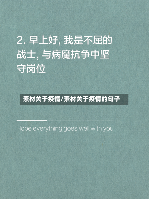 素材关于疫情/素材关于疫情的句子-第2张图片