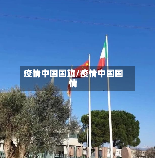 疫情中国国旗/疫情中国国情