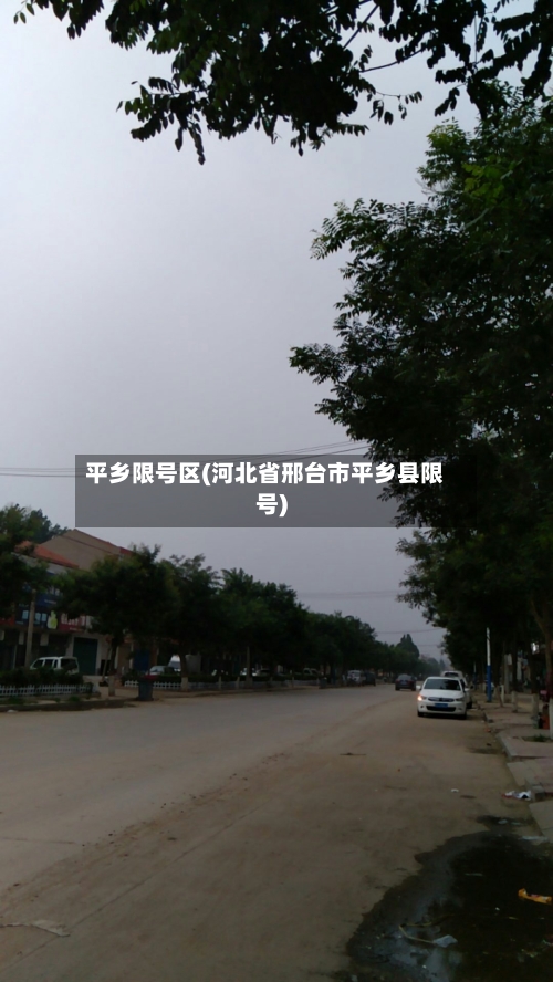 平乡限号区(河北省邢台市平乡县限号)-第2张图片