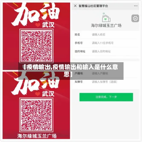 【疫情输出,疫情输出和输入是什么意思】