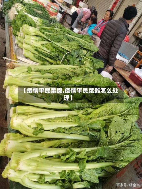 【疫情平民菜摊,疫情平民菜摊怎么处理】