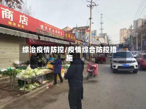 综治疫情防控/疫情综合防控措施