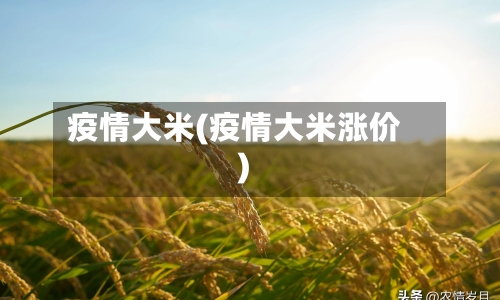 疫情大米(疫情大米涨价)