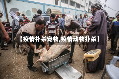 【疫情扑杀宠物,疫情动物扑杀】