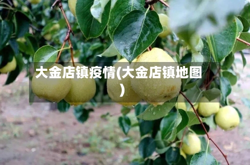 大金店镇疫情(大金店镇地图)-第3张图片