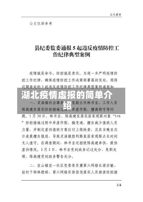 湖北疫情虚报的简单介绍-第2张图片