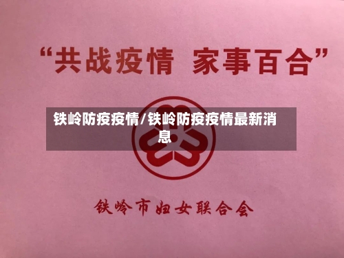 铁岭防疫疫情/铁岭防疫疫情最新消息-第2张图片