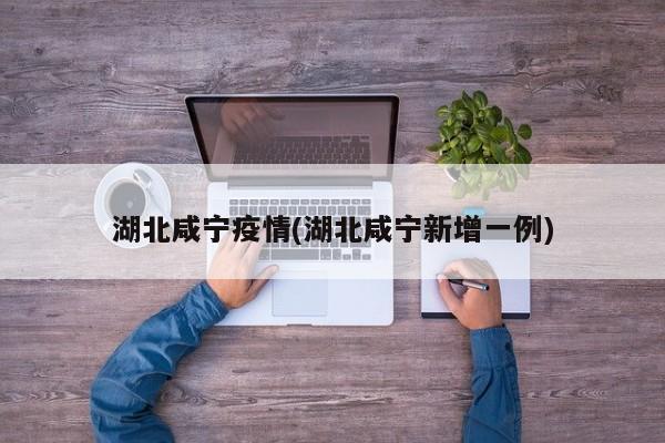 湖北咸宁疫情(湖北咸宁新增一例)